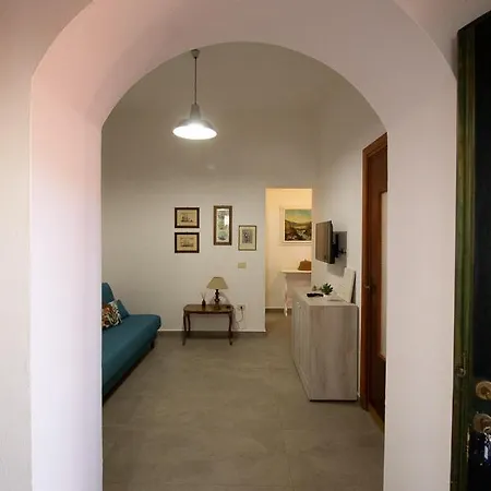 L'elicriso Olbia